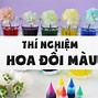 Thí Nghiệm Hoa Đổi Màu Trong Bao Lâu