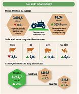 Tình Hình Xuất Khẩu Nông Sản Năm 2021 Là Bao Nhiêu